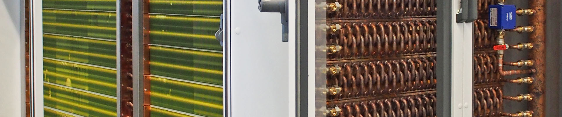 banner_gswt_b gswt_b